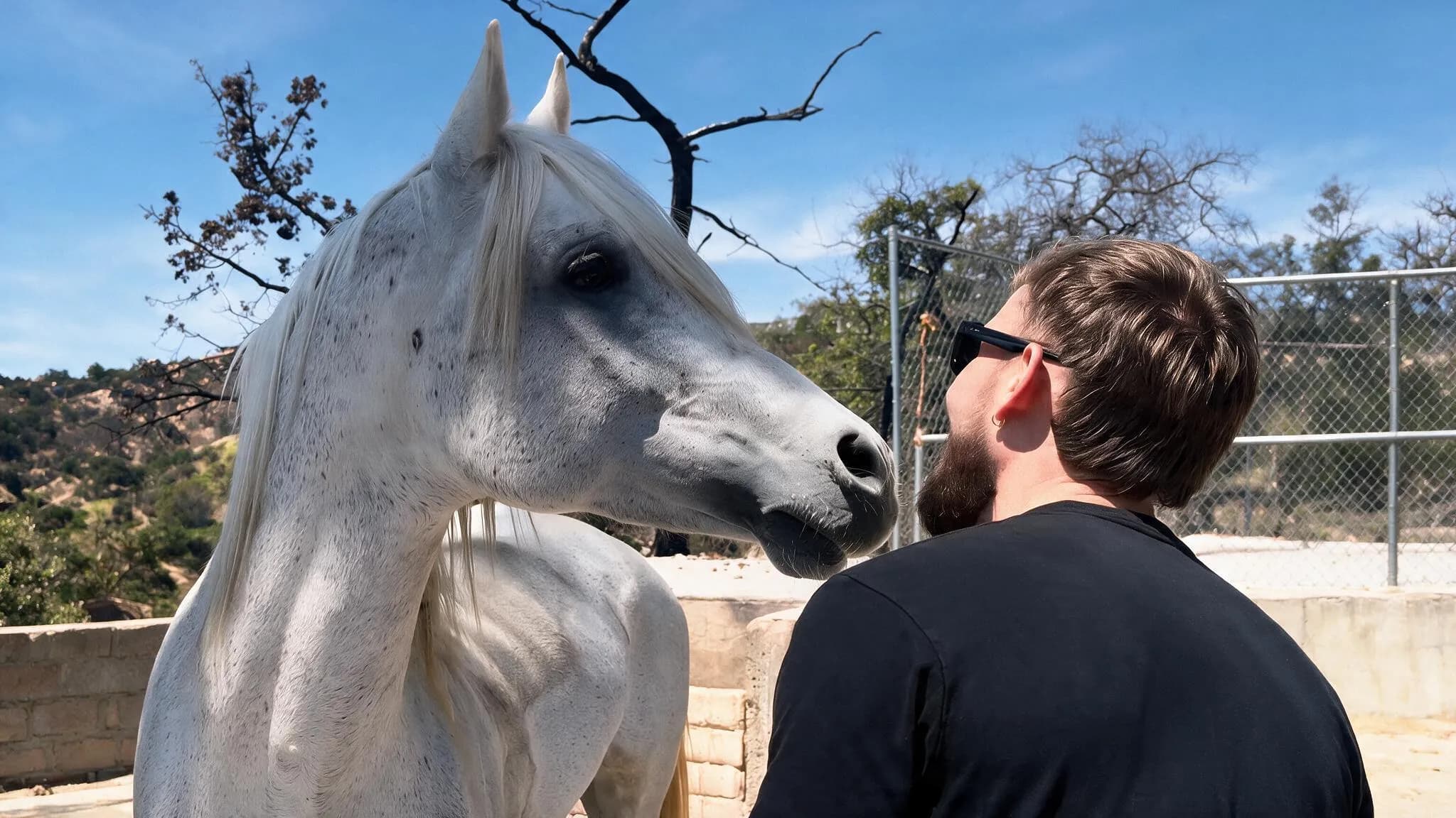 A member of the team face to face with a white horse